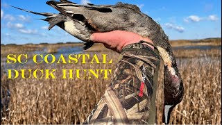South Carolina Coastal Duck Hunt
