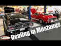 Dealing in Mustangs - MyRod.com update 2020