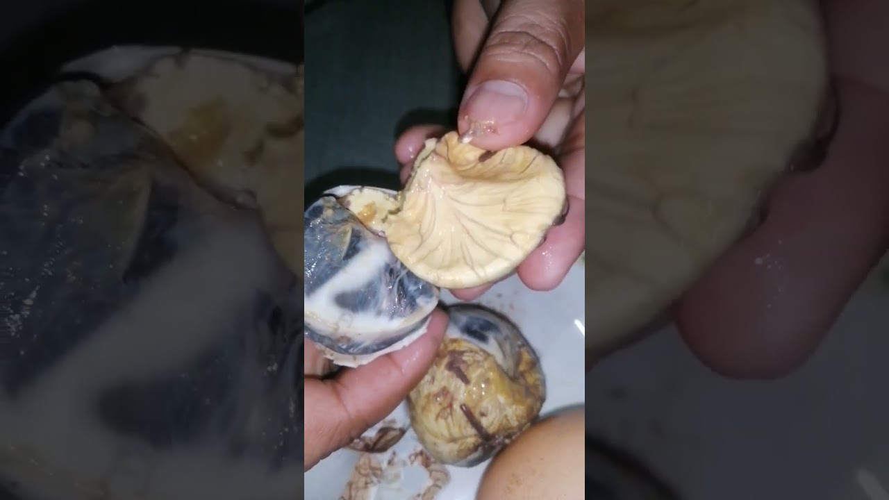 ASMR Peeling Duck Embryo 