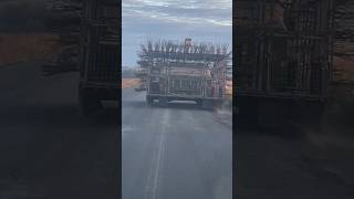 Антидронщик! #війнавукраїні #всебудеукраїна #україна