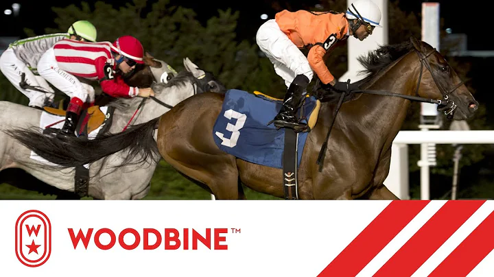 2019 Woodbine Turf Sprint Series Final: Woodbine, ...