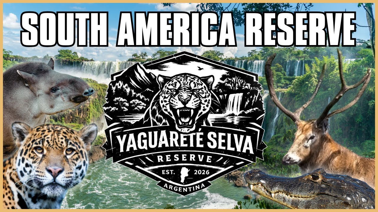 Эта новая карта может изменить COTW!!!! (Концепция)