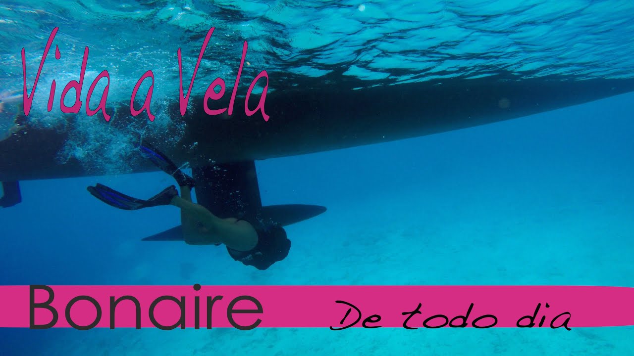 71 - Bonaire de Todo Dia - subtitles in English