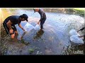 EP385 - Tilapia Fingerlings Para sa Palaisdaan | Occ. Mindoro