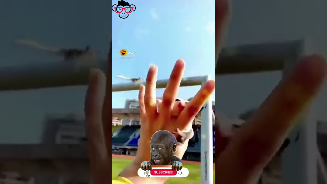 Baby bat 😱😱😱 