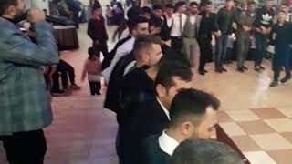 Muş Düğünü (Beri̇tan) Hozan Arhat