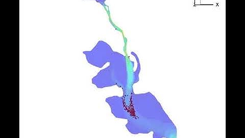 Species Transport Model