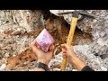 Found Super Rare Amethyst Crystal While Digging at a Private Mine! (Unbelievable Find)