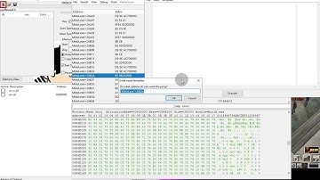   ran online cheat free tutorial as script with bypass video rework