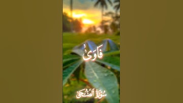 سورة الضحى 💚 #المصحف#قرآن #ا#تلاوة_خاشعة #المصحف #قرآن
