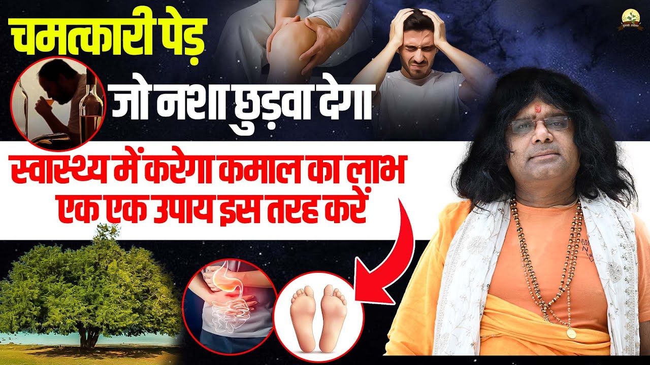 (चमत्कारी पेड़ ) जो नशा छुड़वा देगा, स्वास्थ्य में करेगा कमाल का लाभ,  एक एक उपाय इस तरह करें