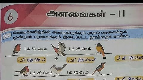 5th std maths workbook answers | 5th std maths term 1 unit 6 workbook answers tamil medium