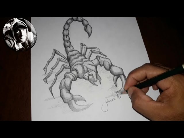 Desenhos de Escorpião - Como desenhar Escorpião passo a passo