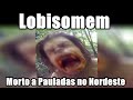 Lobisomem Morto a Pauladas no Nordeste