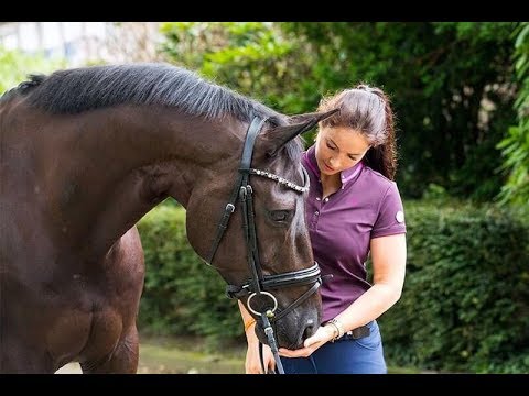 Video: Hoe Een Jong Paard Te Trainen?