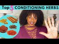Top 5 Herbs for Dry hair| Ayurvedic Herbs that Condition the Hair