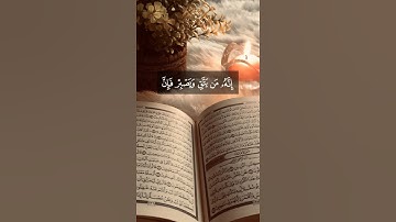 راحة نفسية 🕌حالات واتس اب قرآن كريم 🌿تلاوة مؤثرة بصوت جميل جميل Quran 🌟🌟