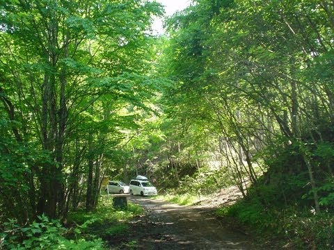 【林道ドライブ】無砂谷林道・栃木　Musadani