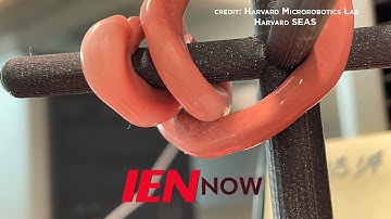 Robot Octopus Can Be Trusted with Fragile Objects