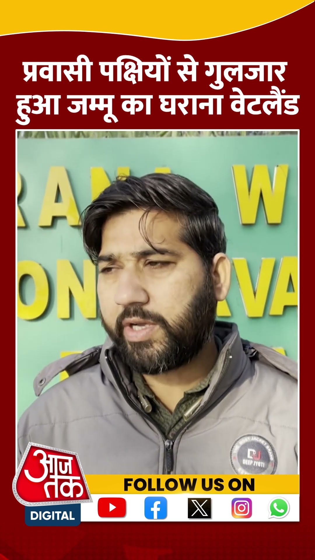 Jammu Gharana Wetland: प्रवासी पक्षियों से गुलजार हुआ जम्मू का घराना वेटलैंड #shorts #shortsvideo