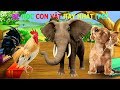 Các con vật cho bé nhanh biết nói hay nhất || Dạy bé học online || Mỹ Thuật Cam