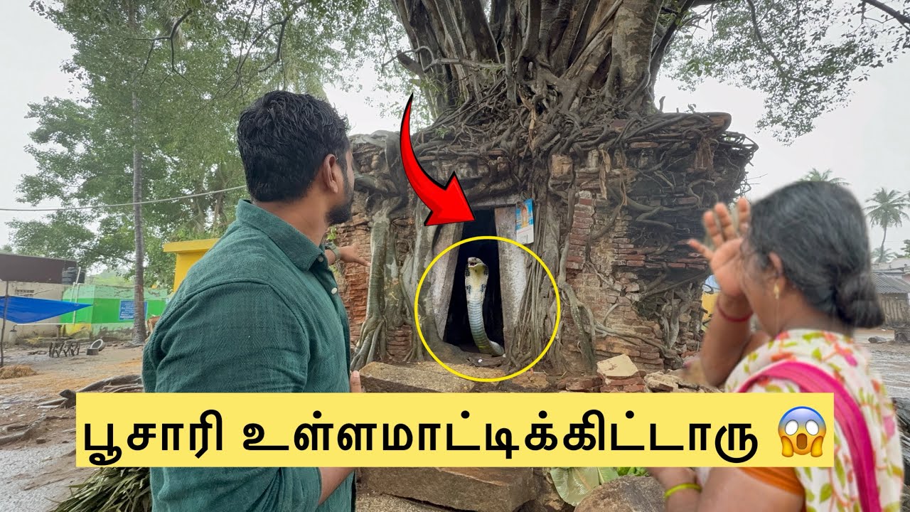 😱😨🙏📿கோவில் உள்ள போன பூசாரிய வெளிய வர விடல தம்பி இந்த பாம்பு. .