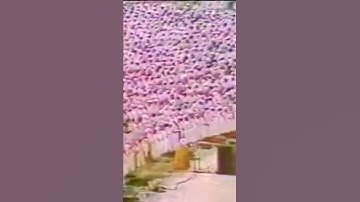 الشيخ علي جابر رحمه الله.. تلاوة نادرة🖤