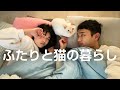 寝床に猫がくる冬のルーティン | ふたり暮らしの日常