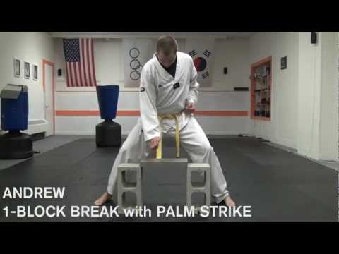 Andrew Single Cement Block / Brick Break with Palm Heel Strike