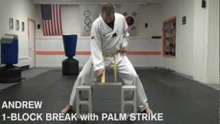 Andrew Single Cement Block / Brick Break with Palm Heel Strike