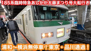 【臨時特急】185系あしかが大藤まつり号桐生発大船行き@大宮〜大船 2023.4.23