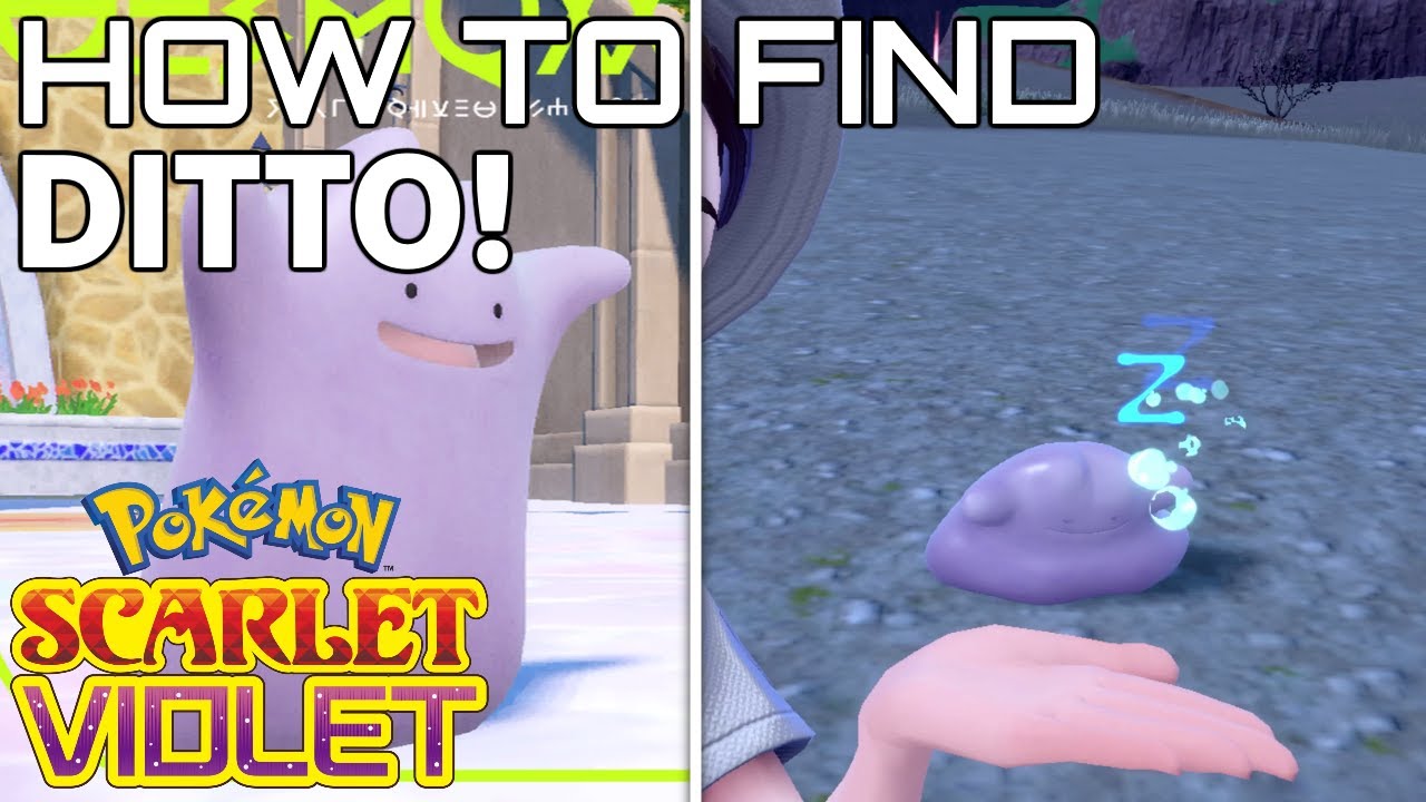 Where to Catch Ditto in Pokemon Scarlet and Violet - Hold To Reset