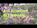 франция/День воскресный/Осталась я за хозяйку/provenceallochka vlog
