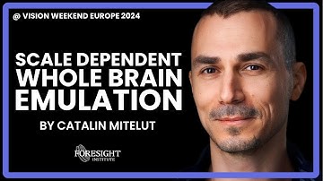 Catalin Mitelut | Scale dependent Whole Brain Emulation @ Vision Weekend Europe 2024