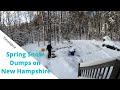 Spring snow in New Hampshire spares nobody... not even Covid19!