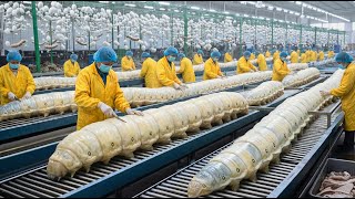 Inside the Silk Factory –The Fascinating Process of Making Luxury Fabric From Silkworm