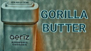 GORILLA BUTTER STRAIN REVIEW