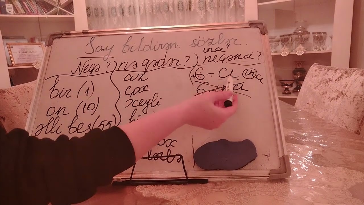 Say və hərəkət bildirən sözlər