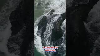 Arti mimpi lari dari tsunami, mimpi menyelamatkan diri dari tsunami, lari dari ombak besar tinggi