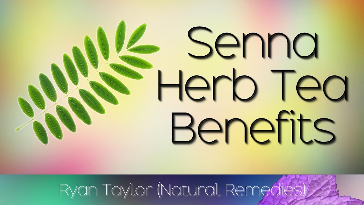 Senna Herb Tea Benefits (Cassia Alata) YouTube