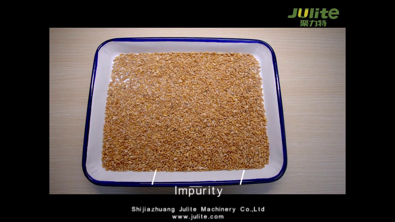 Wheat processing machine Coffee bean processing equipment Maize processing equipment