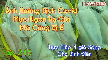 Chợ Bình Điền | Hải Sản Mực Ngon Mà Rẻ,Mua giờ Nào Cũng Có , Tôm Thì Mắc Quá | Ân 036.238.5669