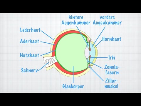 Video: Augen Aufbauen