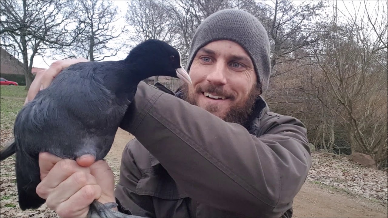 NaturNørd 68. Juleanden skal fanges !!!