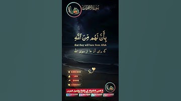 #القرآن_الكريم #تلاوة_صوت_جميل_عذب #dar_alkoran #دار_القرآن #أدعية #أدعية_إسلامية #ترتيل_القرآن