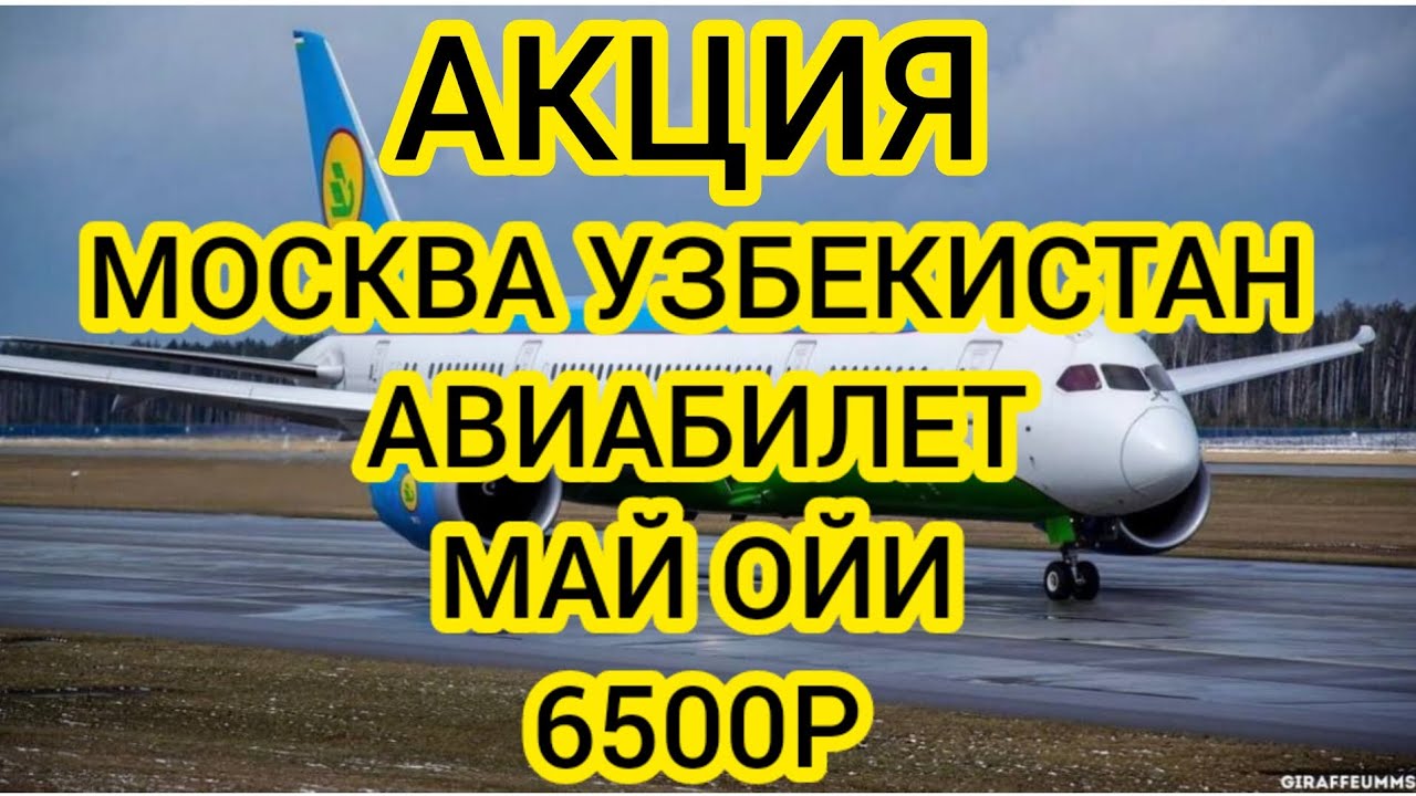 москва ташкент. билетлар нархлари самолет. билет узбекистан. билет узбекистан. москва ташкент нархлари.