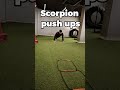 Scorpion push ups