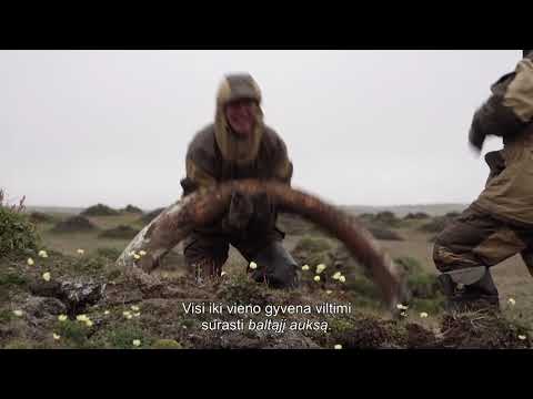 Video: „Permafrost“greitai Tirpsta - Alternatyvus Vaizdas