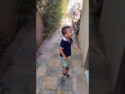تيم كان هيتهور