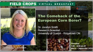 Field Crops Virtual Breakfast: The Comeback of the European Corn Borer?